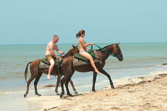 Horseback Ride and Swim With Blue Hole Ocho Rios or River Tubing - Inclusions and Exclusions