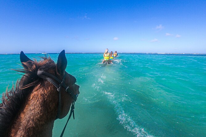 Horseback Ride and Swim With Hotel Pick-Up - Tour Details