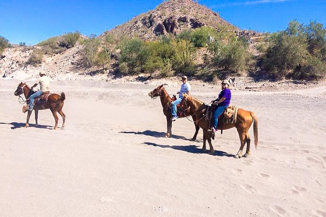 Horseback Ride and Witness Magical Sunset of Loreto, BCS - Included Amenities