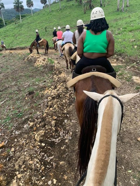 Horseback Ride Experience on the Beach & Countryside - Transportation and Inclusions