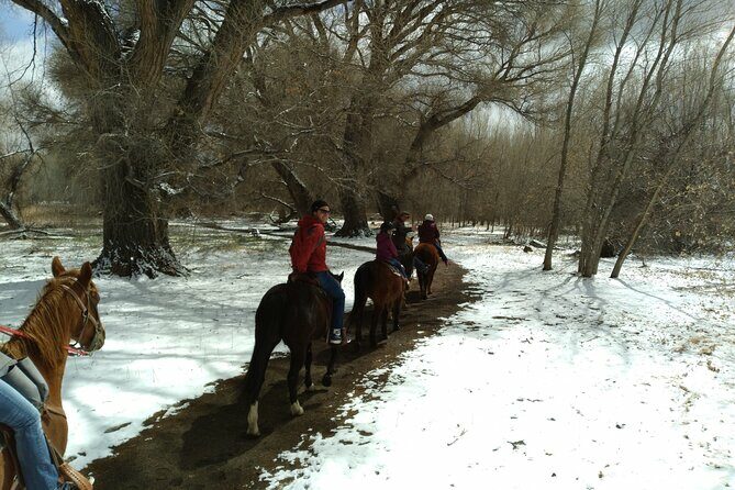 Horseback Ride for 2 or more - The Scenery: Views That Stick With You