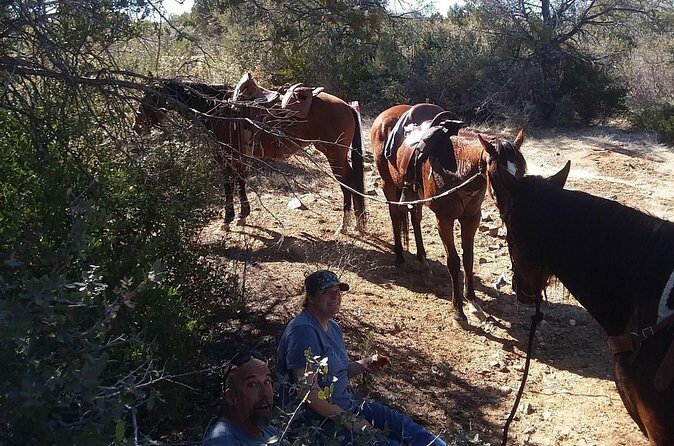 Horseback Ride for 2 or more - The Horses: Rescues with a Story