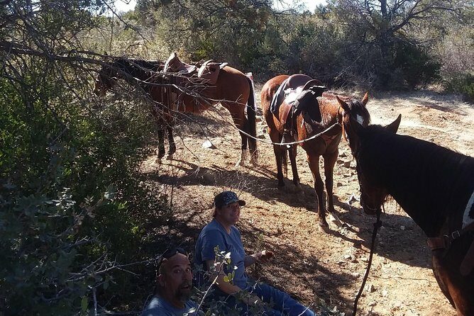 Horseback Ride for 2 or more - Final Thoughts: Who Should Consider This Tour?