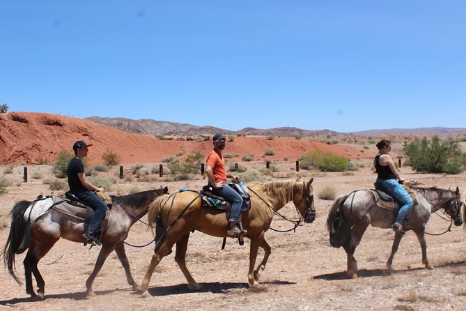 Horseback Ride in Las Vegas - Accessibility and Restrictions
