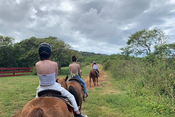 Horseback Ride Like an Authentic Paniolo in Kahuku - Tour Logistics