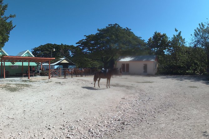 Horseback Ride N Swim - About Your Stay