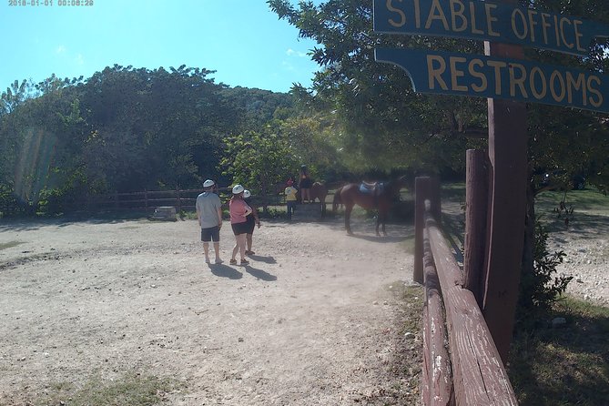 Horseback Ride N Swim - Exploring Jamaicas Scenic Trails
