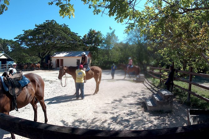 Horseback Ride N Swim - Pricing and Group Details