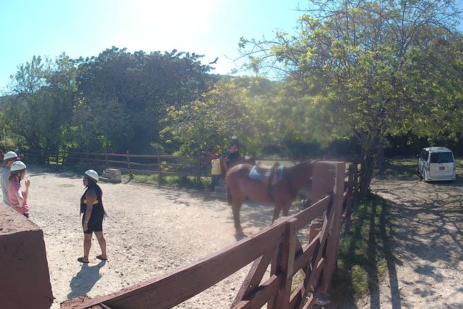 Horseback Ride N Swim - Inclusions for a Comfortable Ride