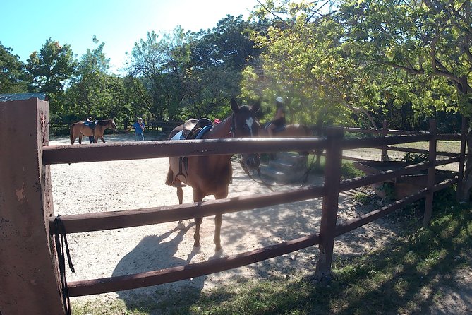 Horseback Ride N Swim - Booking Your Adventure