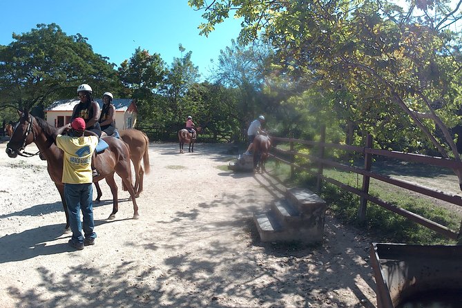 Horseback Ride N Swim - Tips for an Enjoyable Experience
