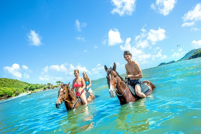 Horseback Ride N Swim St. Lucia From Castries - Experience the Ride