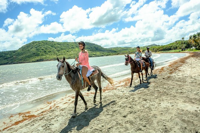 Horseback Ride N Swim St. Lucia From Castries - Booking Your Stay