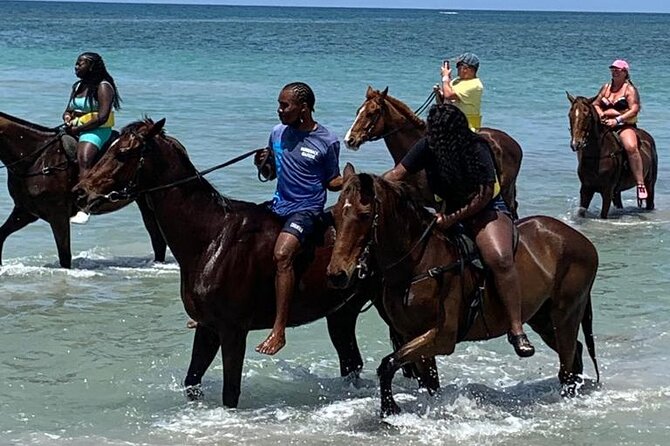 Horseback Ride N Swim With Private Transportation From Montego Bay - Safety Information