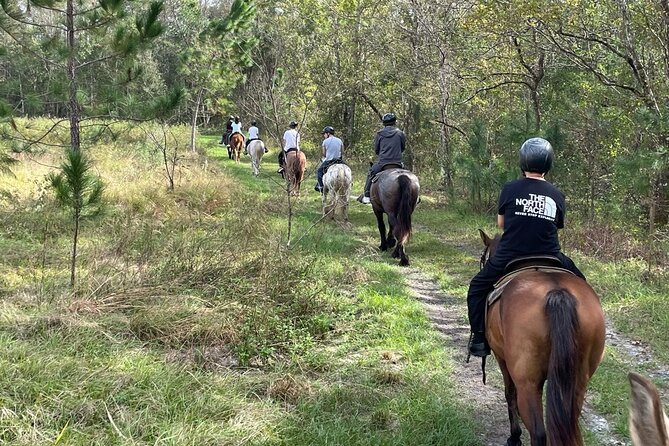 Horseback Ride on Scenic Lake Louisa Trails - Scenic Lake Louisa Park