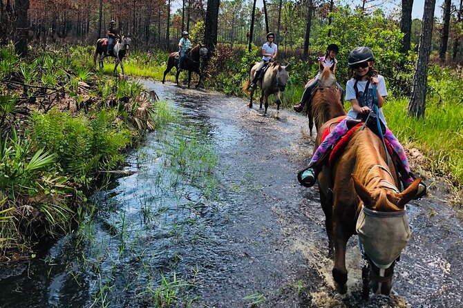 Horseback Ride on Scenic Lake Louisa Trails - Highlights of the Trail Ride