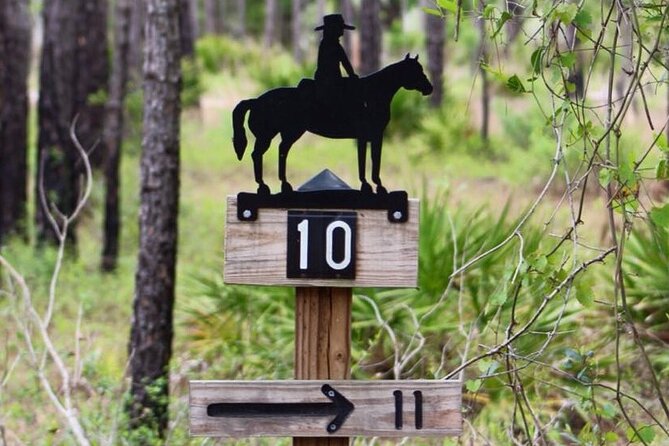 Horseback Ride on Scenic Lake Louisa Trails - Feedback From Travelers