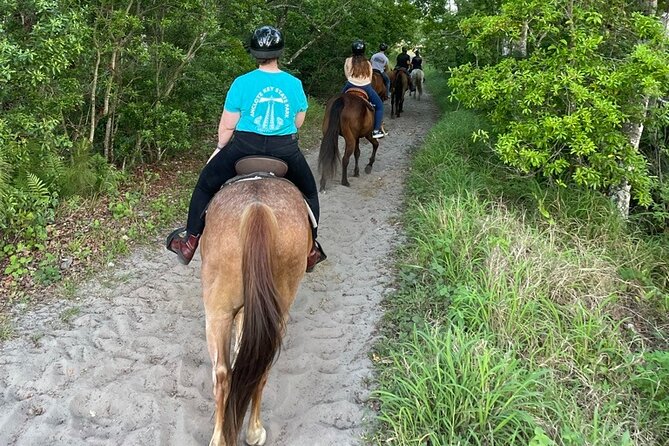 Horseback Ride on Scenic Lake Louisa Trails - Frequently Asked Questions