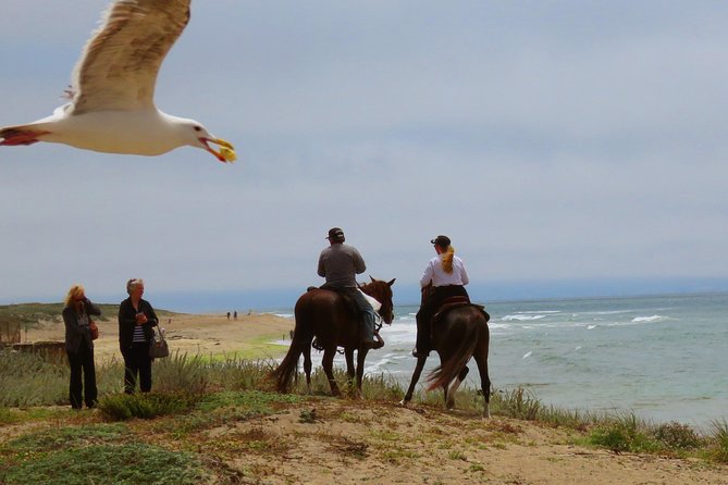 Horseback Ride on the Beach & Alcatraz Tour in San Francisco - Pickup and Accessibility