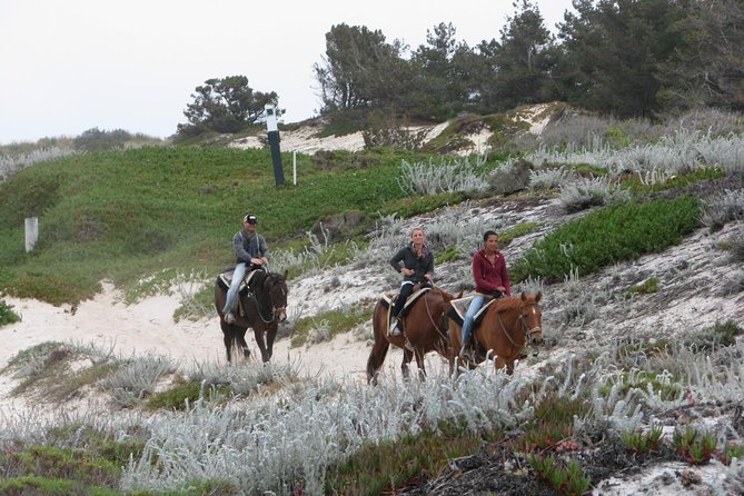 Horseback Ride on the Beach & Alcatraz Tour in San Francisco - Fitness and Confirmation