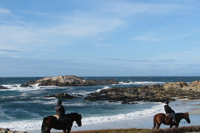 Horseback Ride on the Beach & Alcatraz Tour in San Francisco - Additional Information
