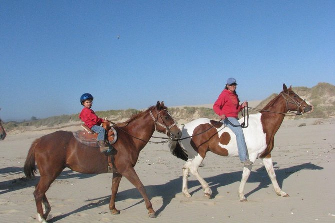 Horseback Ride on the Beach & Alcatraz Tour in San Francisco - Recap