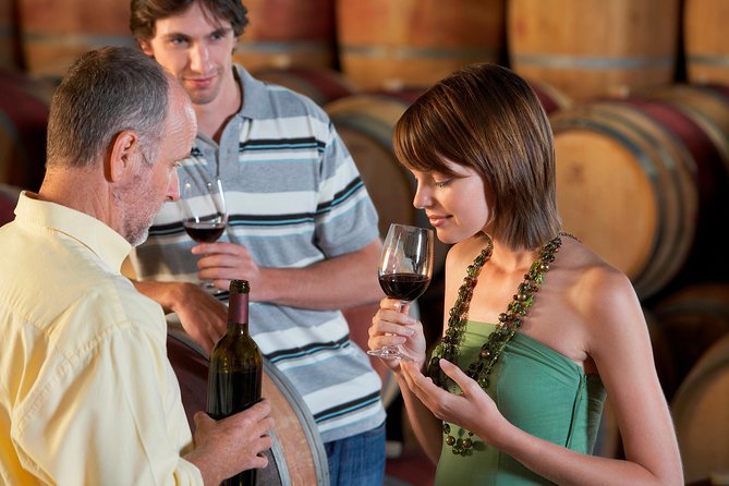 Horseback Ride, Penedés, Wine Tasting & Tapas Lunch - Activities Offered
