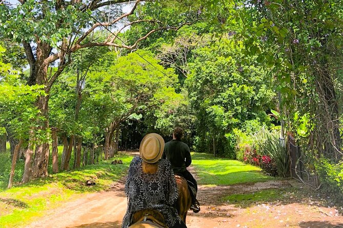 Horseback Ride, Picnic and Swimming at Barigona Beach - Accessibility and Participation