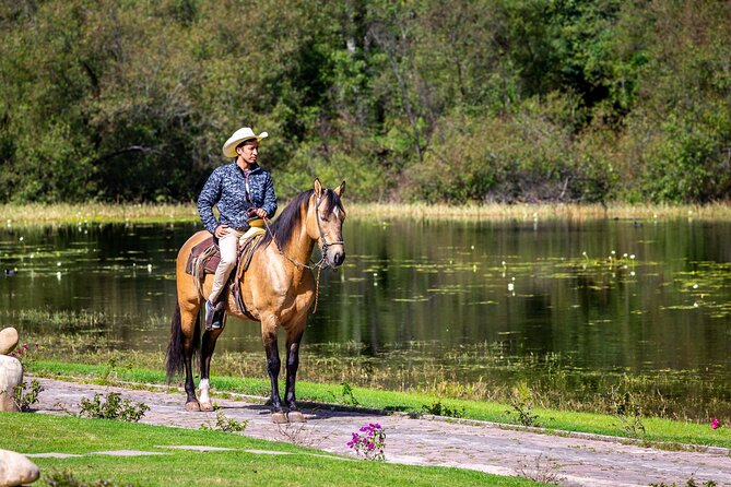 Horseback Ride Through Puerto Plata - Preparing for the Adventure
