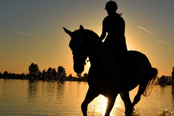 Horseback Ride Through Puerto Plata - Questions About Your Stay