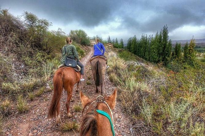 Horseback Ride Through Vineyards Followed by Gourmet Lunch - Key Points