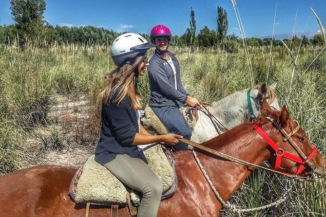Horseback Ride Through Vineyards Followed by Gourmet Lunch - Gourmet Barbecue Lunch at Divina Marga