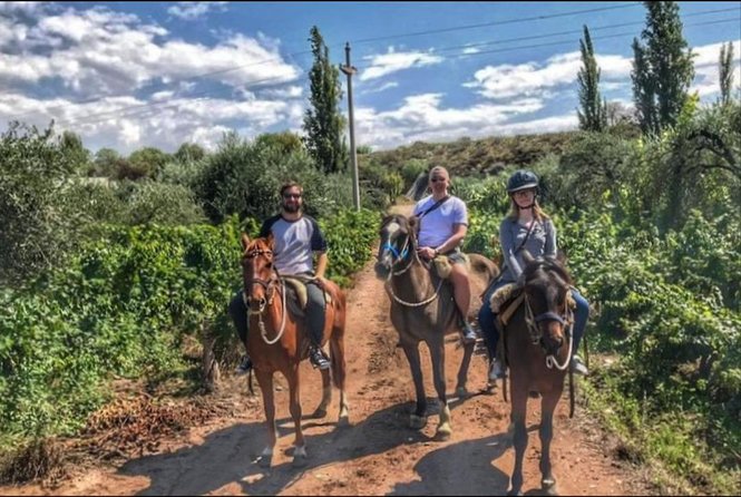 Horseback Ride Through Vineyards Followed by Gourmet Lunch - Guest Reviews and Feedback