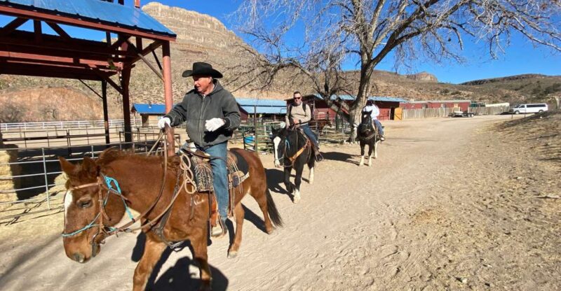 Horseback Ride Thru Joshua Tree Forest With Buffalo & Lunch - Participant Requirements