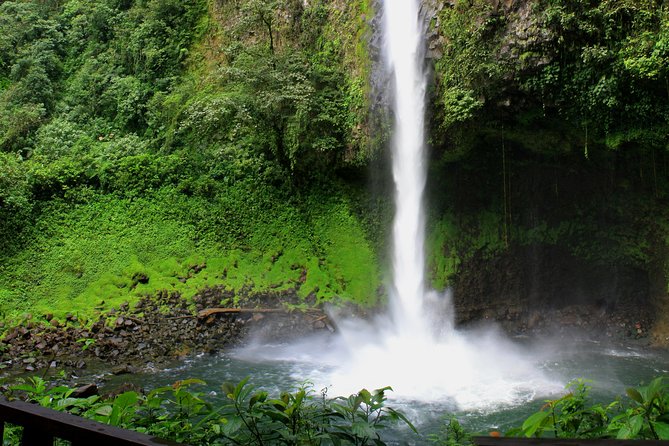 Horseback Ride to La Fortuna Waterfall - Reviews and Feedback