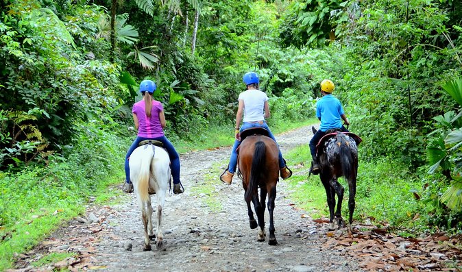 Horseback Ride to La Fortuna Waterfall - Capturing Memorable Moments