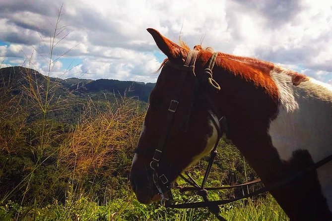 Horseback Ride to the Forgotten Jungle City - Attire and Accommodations
