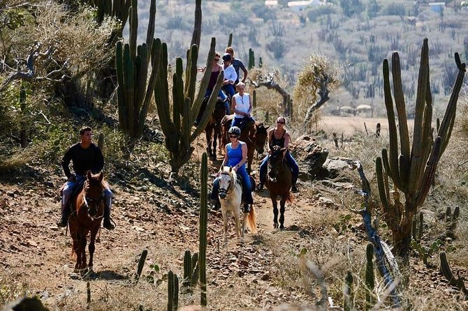 Horseback Ride Tour to Natural Pool in Arikok National Park - Tour Experience