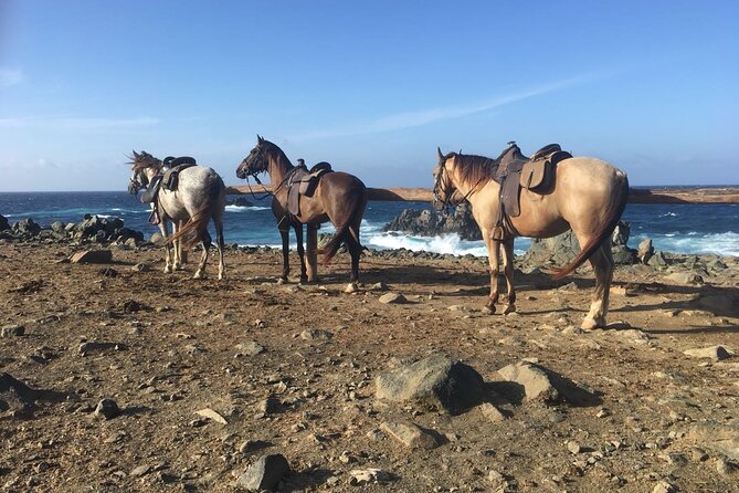 Horseback Ride Tour to Natural Pool in Arikok National Park - Horseback Riding Experience