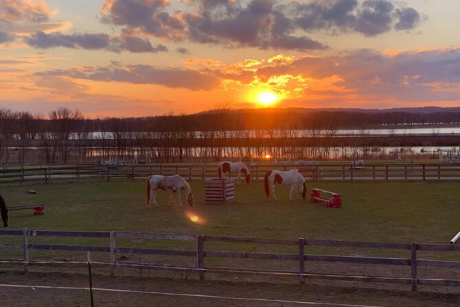 Horseback Rides, Interactions, and Petting Zoo - Private Horseback Ride