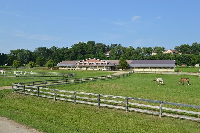 Horseback Rides, Interactions, and Petting Zoo - Pricing and Availability