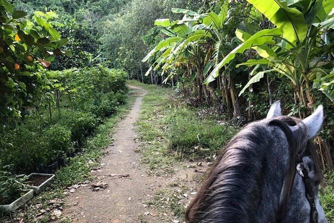 Horseback Riding 1 Hour Trail - Location and Accessibility