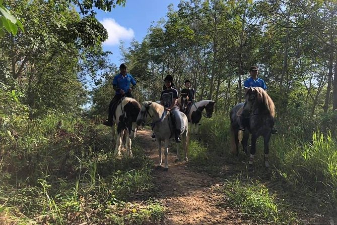 Horseback Riding 1 Hour Trail - Booking and Scheduling