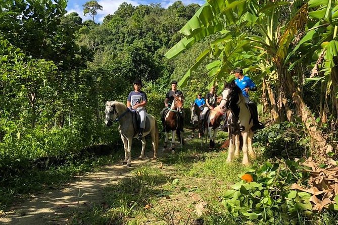 Horseback Riding 1 Hour Trail - Participant Recommendations