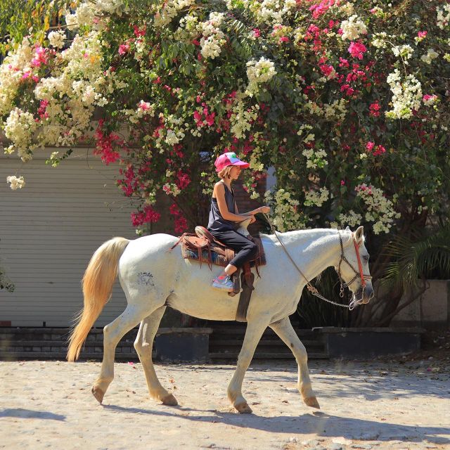 Horseback Riding - Pricing and Reservation