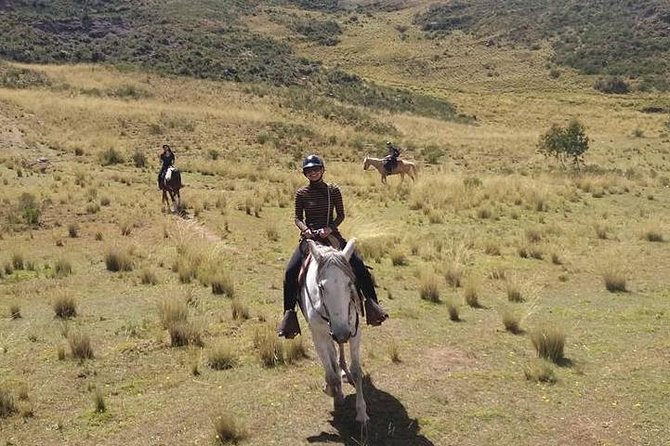 Horseback Riding: 4 Archaeological Sites - Safety and Accessibility