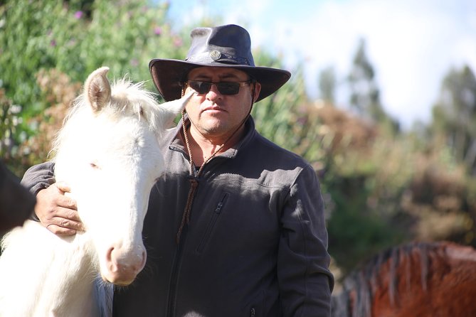 Horseback Riding: 4 Archaeological Sites - Highlights of the Tour