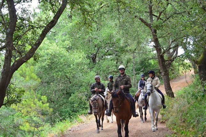 Horseback Riding, 4 Options-Mountain, Lesson Ring, Beach (2Hours) - Overview and Experience