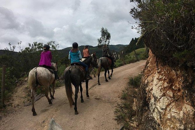 Horseback Riding - Meeting and Pickup