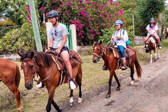 Horseback Riding, A Scenic Escape - Booking and Pricing Details